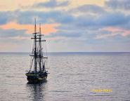 La Foto del Giorno (30 mag.)