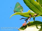 La Foto del Giorno (9 apr.)