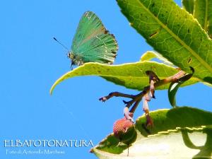 La Foto del Giorno (9 apr.)