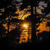 La Foto del Giorno (1° lug.)