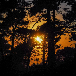 La Foto del Giorno (1° lug.)