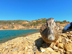 La Foto del Giorno (1° giu.)