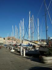 Fotonotizia - "Barcheggi" invernali: gli unici alberi ammessi in Calata