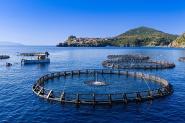 PNAT: accordo con la Maricoltura di Capraia per l’utilizzo dell’emblema del Parco