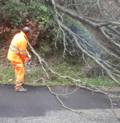 Serie di crolli di alberi e rami sulle strade, ancora chiuse la Civillina e Monte Perone