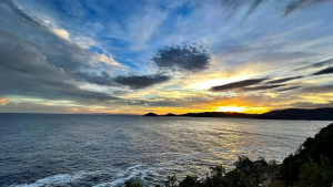 La Foto del Giorno (1° ott.)