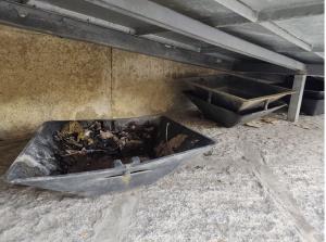 Fotonotizia: Le vasche "arembate" sotto la rampa per i disabili