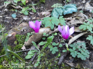 La Foto del Giorno (3 apr.)