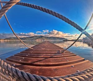 La Foto del Giorno (18 dic.)