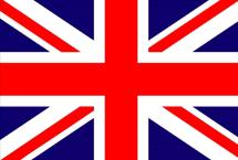 Insegnante di inglese disponibile per lezioni e preparazione esami