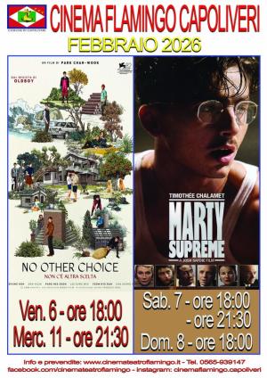 La programmazione del Cinema Flamingo