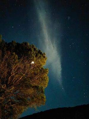 La Foto del Giorno (12 nov.)