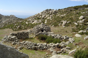 I becchi irascibili ed il caprile senza pace