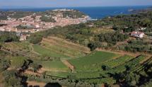 Il Consorzio Elba DOC a Vinitaly New York. Il racconto di un’Isola che coltiva la vite dai tempi degli Etruschi
