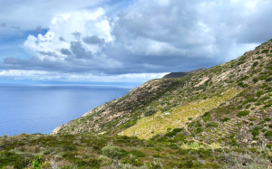 Lotta al bracconaggio all’interno del Parco Nazionale Arcipelago Toscano
