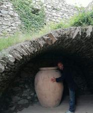 Salvare e valorizzare la domus etrusca di Monte Castello di Procchio