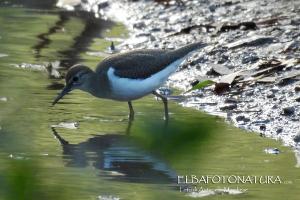 La Foto del Giorno (9 sett.)