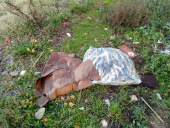 Fotonotizia: I miseri resti dell'indistruttibile cartone di pesciacci a Mola