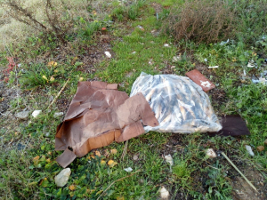 Fotonotizia: I miseri resti dell&#039;indistruttibile cartone di pesciacci a Mola