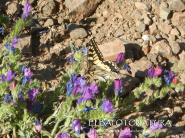 La Foto del Giorno (2 giu.)