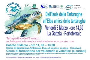 Elba amica delle tartarughe, tutto pronto per le iniziative dell’8 e 9 marzo
