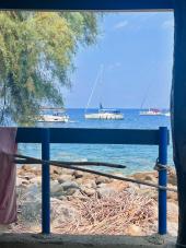 La Foto del Giorno (30 ago.)