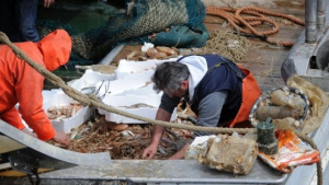 Legge Salvamare, soddisfazione anche dalla Toscana per l’approvazione definitiva