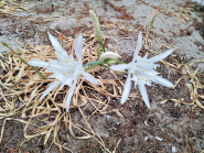 La Foto del Giorno (23 giu.)