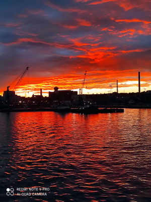 La Foto del Giorno (26 feb.)