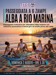Passeggiata a 6 zampe all’alba