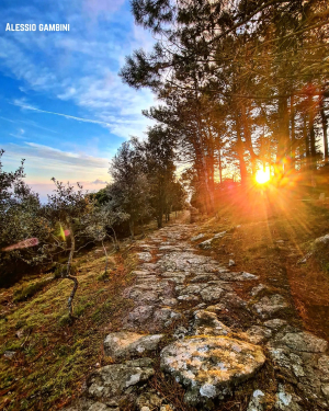 La Foto del Giorno (6 mar.)