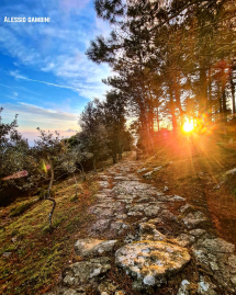 La Foto del Giorno (6 mar.)