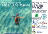 Una serata a Sant’Andrea per scoprire la vita segreta delle tartarughe marine