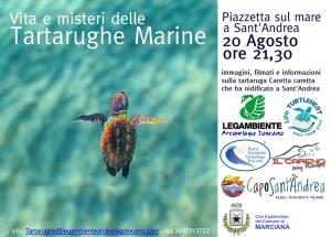 Una serata a Sant’Andrea per scoprire la vita segreta delle tartarughe marine