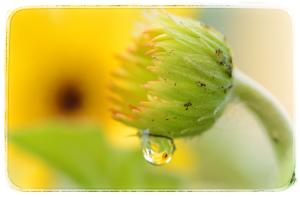 La Foto del Giorno (23 apr.)