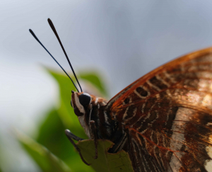 La Foto del Giorno (2 lug.)