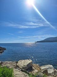 La Foto del Giorno (29 sett.)