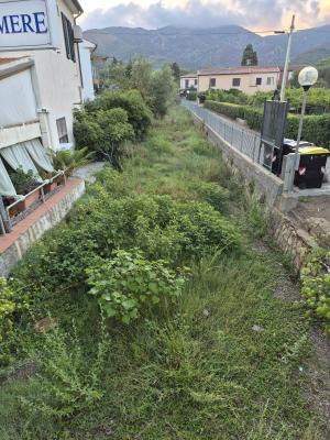 La pericolosa situazione in cui versa il fosso di Bagnaia