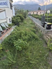 La pericolosa situazione in cui versa il fosso di Bagnaia