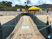 Le Tartarughine marine, le luci sulla spiaggia e il turismo sostenibile