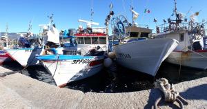 Chiamata d'imbarco, si cerca un marinaio