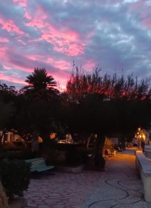 La Foto del Giorno (25 nov.)