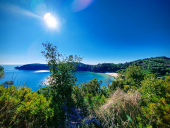 La Foto del Giorno (24 feb.)