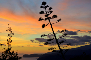 La Foto del Giorno (23 nov.)