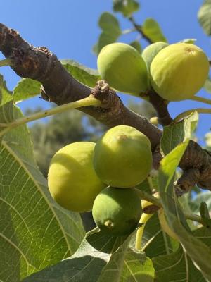 La Foto del Giorno (16 ago.)