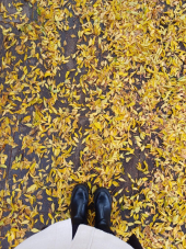 La Foto del Giorno (3 dic.)