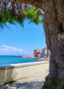 La Foto del Giorno (9 lug.)