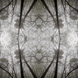 La Foto del Giorno (11 mag.)