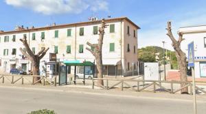 Altre piante di pino, quelle di Concia di Terra, malandate e quelle sì da abbattere