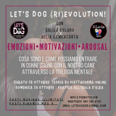 Cos’è la Trilogia Mentale? Una serie di incontri con Let's Dog per divulgare la cultura cinofila